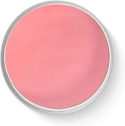 Namaki Face Painting Face Paint Pink Namaki Face Painting Face Paint Pink