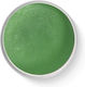 Namaki Face Painting Face Paint Green