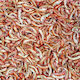 Tropical Gammarus Tasche 12g Γαμαρίδες