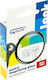 Grand Hand Magnifying Lens