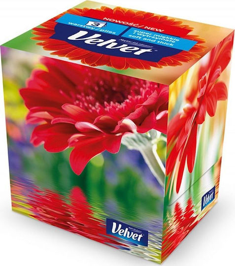 Velvet Wepa Gesicht Papiertaschentücher 3 Lagen 60 Packungen