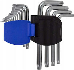 Forsage Σετ 15 Torx F-5151