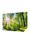 Tapet Autocolant De Perete 208x146cm