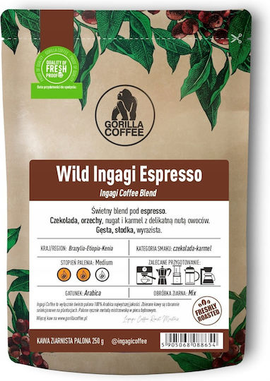 Ingagi Coffee Coffee Espresso Arabica Brazil Grains 250gr