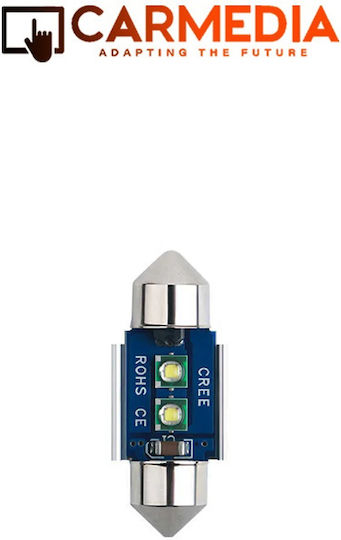 Carmedia Cmled Festoon 2smd 31mm Led Autolampen