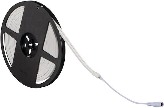 Kanlux Waterproof LED Strip 24V Natural White Light 5m Neon Flex