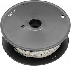Gtv LED Strip 12V Cold White Light 50m SMD2835 Type