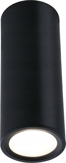 Paulmann LED Warm White Spot in Black Colour
