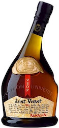 Armagnac VSOP 40% 700ml