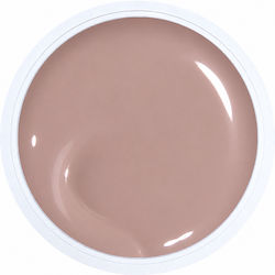 Alezori A&g Hybrid Acrygel Гел За Нокти Hybrid ...