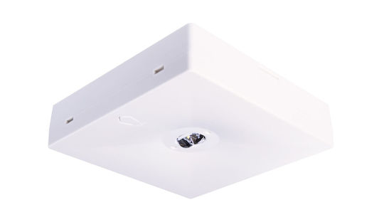Intelight LED Φωτιστικό Ασφαλείας Εξόδου με Τροφοδοσία Μπαταρίας