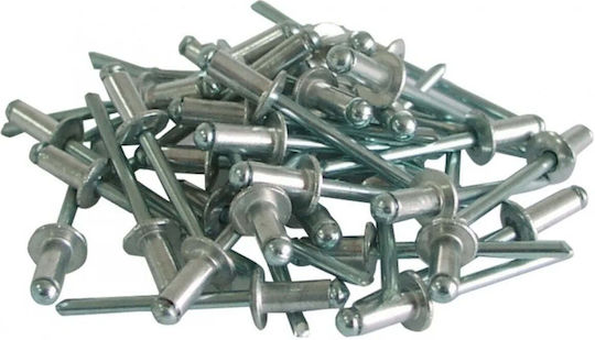 Mega Mega Πριτσίνια Kunststoff M4.8x8mm 50 Stück