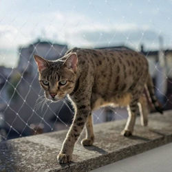 Duvo Plus Dog Fencing Accessory 300x200cm
