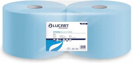 Lucart Kitchen Paper 2 Ply 300m 2 Rolls 851326J