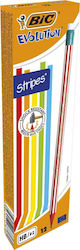BIC Set of 12 Grey Pencils BIC Set of 12 Grey Pencils