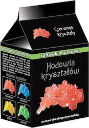Ranok Creative Εκπαιδευτικό Παιχνίδι Κρύσταλλα για 3+ Ετών Ranok Creative Εκπαιδευτικό Παιχνίδι Κρύσταλλα για 3+ Ετών