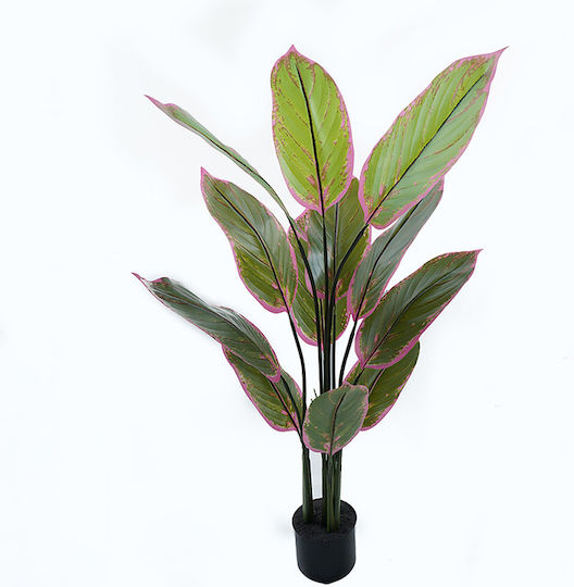 Декоративно Растение в Саксия Calathea Inart Зелено Φ68x120см