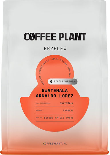 Coffee Plant Кафе Еспресо Арабика Гватемала Зърна 250гр