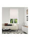 Domoletti Roller Blinds Partial Blackout Beige W90xH230cm