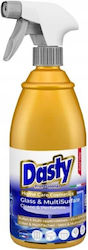 Dasty Glasreiniger Spray 700ml Dasty Glasreiniger Spray 700ml