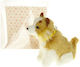 Adar Interactive Toy