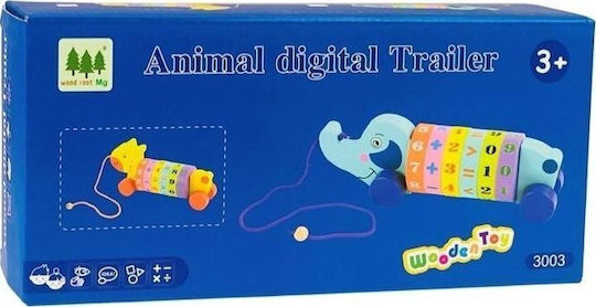 Pull Along Toy for 36+ Months