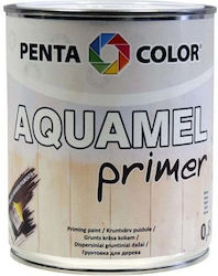 Pentacolor Grundierung 0.8kg
