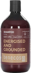Benecos Shampoo Glanz 500ml Benecos Shampoo Glanz 500ml