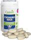 Canvit Chondro Multivitamine Für Hunde in Tabletten 70 Stück für die allgemeine Gesundheit
