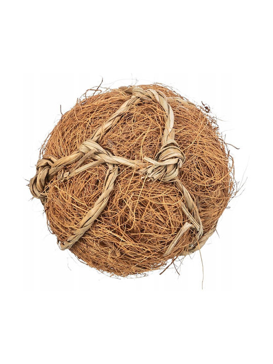 Trixie Glob de nucă de cocos pentru rozătoare 6 cm Trixie Glob de nucă de cocos pentru rozătoare 6 cm