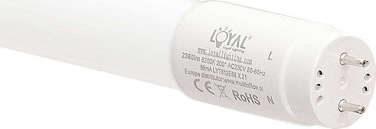 Loyal Lighting Led Röhrchen 120cm 6200K