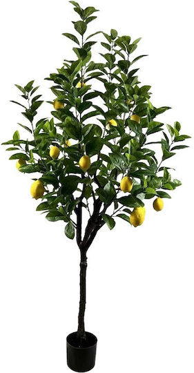 Декоративно растение Lemon Tree саксия Inart зелено Pp В180 см