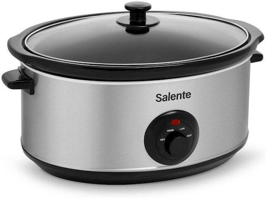 Evolveo Salente Schongarer 320W Mit Gewicht 6.5lt Silbern