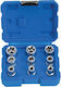 Sockets with 1/2" Frame Host Set 9 Pieces