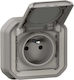 Legrand Plexo Single Flush Mount Power Socket with Automatic Terminals Waterproof Grey