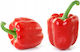 Paprika Saatgut Rot 0.6gr