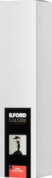 Ilford Hârtie foto Ilford Galerie Gold Fibre Gloss 310g 61cm X 15m Ilford Hârtie foto Ilford Galerie Gold Fibre Gloss 310g 61cm X 15m