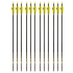 Set 12 Săgeți Arc Compound 6.2 Mm Ax Fibra De Carbon Spine 300 Lungime 32 Inch 27 Gr Săgeată Pandarus