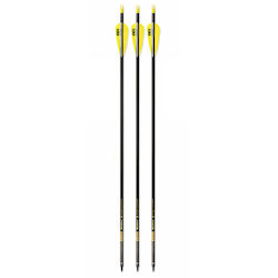 Set 3 Săgeți Arc Compus 6.2mm Ax Fibra De Carbon Spine 300 Lungime 32 Inch Pandarus