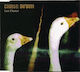 China Drum Last Chance Cd