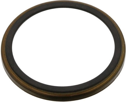 Magnetische ABS-Ring Renault Laguna II Scenic II Espace IV Vel Satis Hintere Bremsscheibe