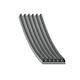 Multi-ribbed V-belt Opel Tigra 6pk1795
