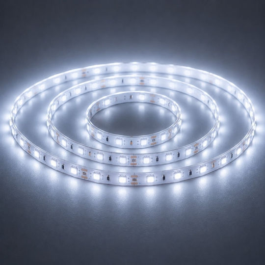 Led7 LED Лента 24V Студена Бяла Светлина 10m Тип SMD2835