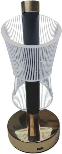 Decorative LED Lamp