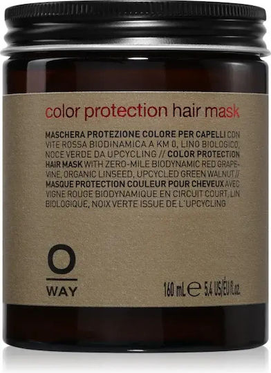 Color Protection Renewing Protective Μάσκα Μαλλιών για Διατήρηση Χρώματος 160ml