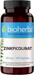Bioherba Цинк Пиколинат 50mg 100 Капсули Bioherba Цинк Пиколинат 50mg 100 Капсули