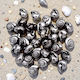 Acrylic Silver Plated Shells 10mm 50 Pieces