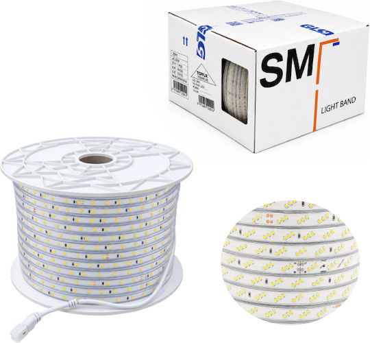 LED Strip 100m SMD2835 Type