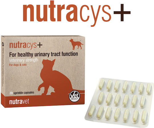 Nutravet Multivitamine pentru Câini și Pisici în Capsule pentru Rinichi/Urinar