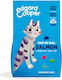 Dry Cat Food for Adult Cats with Salmon 2kg